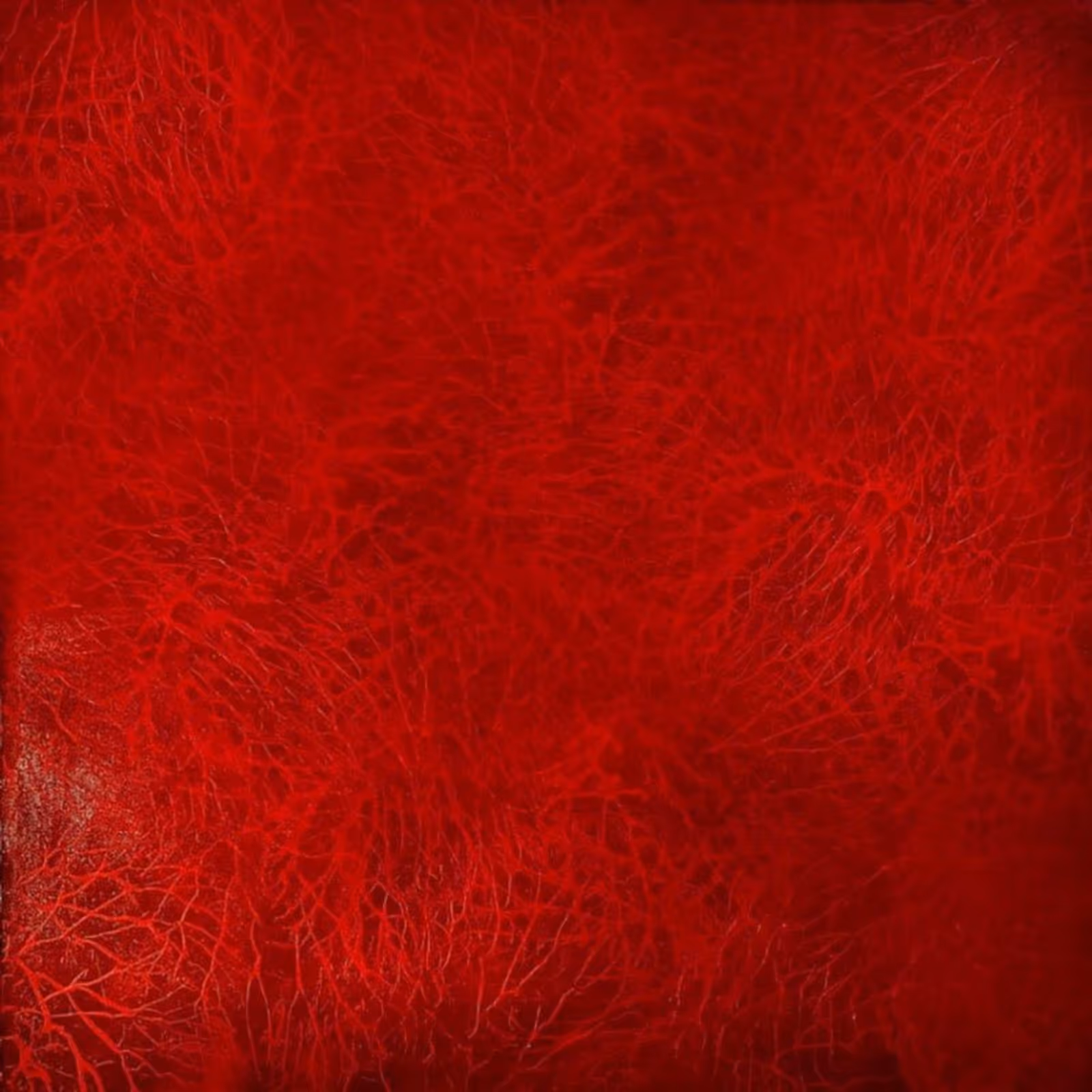 Samanta Malavasi, Berlin, Germany (1973)